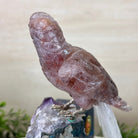 Large Hand - Carved Fire Quartz Parrot on an Amethyst Base, 8.1" Tall #3004 - FQPAM - 020 - Brazil GemsBrazil GemsLarge Hand - Carved Fire Quartz Parrot on an Amethyst Base, 8.1" Tall #3004 - FQPAM - 020Crystal Birds3004 - FQPAM - 020