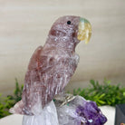 Large Hand - Carved Fire Quartz Parrot on an Amethyst Base, 8.1" Tall #3004 - FQPAM - 020 - Brazil GemsBrazil GemsLarge Hand - Carved Fire Quartz Parrot on an Amethyst Base, 8.1" Tall #3004 - FQPAM - 020Crystal Birds3004 - FQPAM - 020