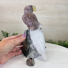 Large Hand - Carved Fire Quartz Parrot on an Amethyst Base, 8.1" Tall #3004 - FQPAM - 020 - Brazil GemsBrazil GemsLarge Hand - Carved Fire Quartz Parrot on an Amethyst Base, 8.1" Tall #3004 - FQPAM - 020Crystal Birds3004 - FQPAM - 020