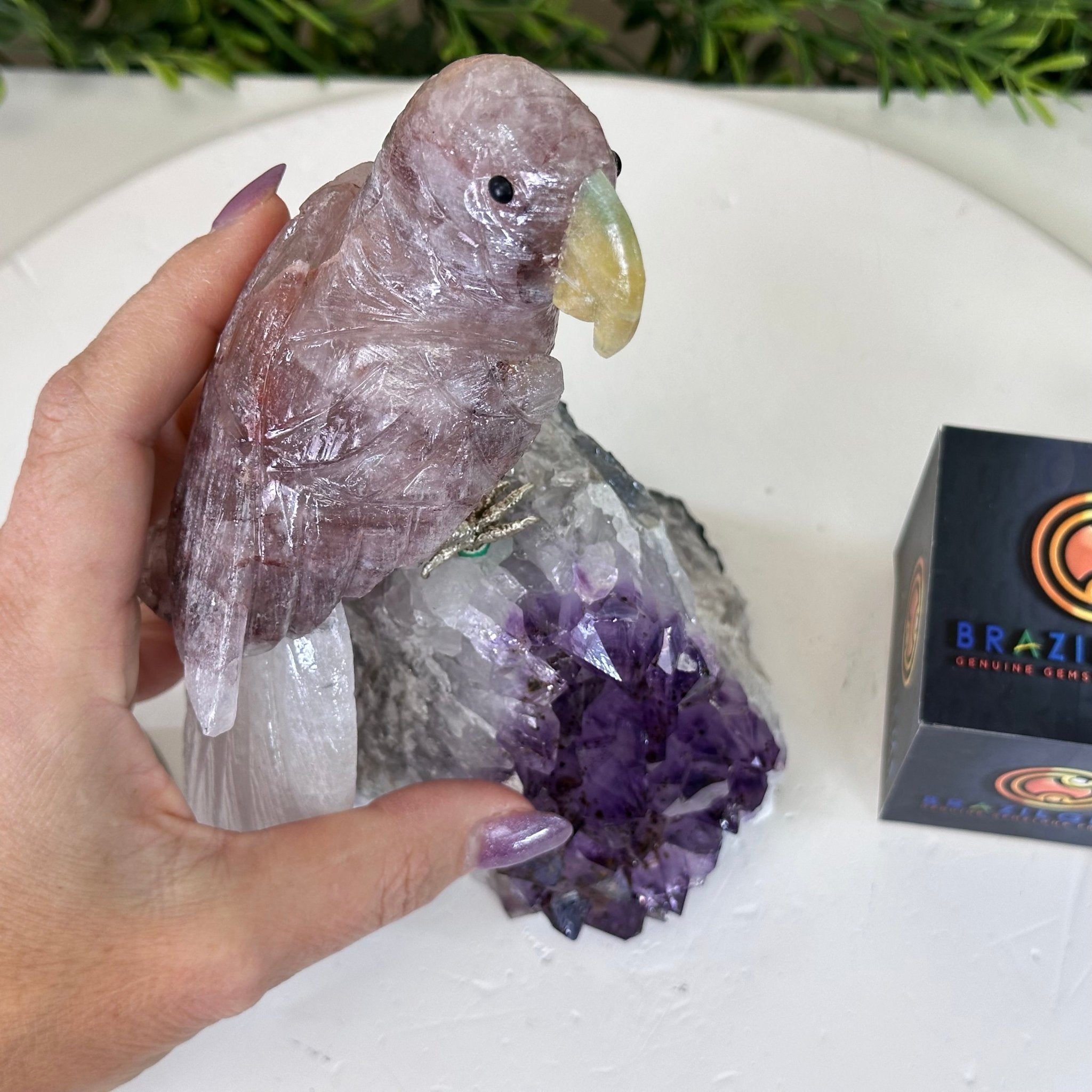 Large Hand - Carved Fire Quartz Parrot on an Amethyst Base, 8.1" Tall #3004 - FQPAM - 020 - Brazil GemsBrazil GemsLarge Hand - Carved Fire Quartz Parrot on an Amethyst Base, 8.1" Tall #3004 - FQPAM - 020Crystal Birds3004 - FQPAM - 020