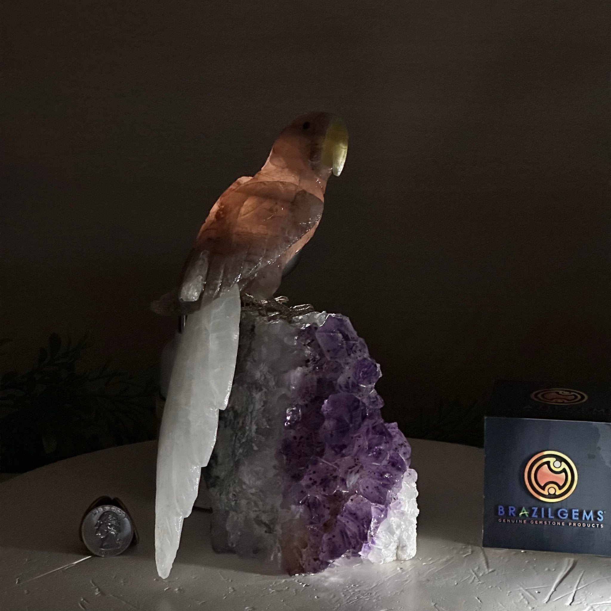 Large Hand - Carved Fire Quartz Parrot on an Amethyst Base, 8.1" Tall #3004 - FQPAM - 020 - Brazil GemsBrazil GemsLarge Hand - Carved Fire Quartz Parrot on an Amethyst Base, 8.1" Tall #3004 - FQPAM - 020Crystal Birds3004 - FQPAM - 020