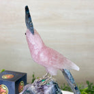 Large Hand - Carved Rose Quartz Cockatoo w/ Amethyst Base, 9.2" Tall #3004 - RQCAM - 041 - Brazil GemsBrazil GemsLarge Hand - Carved Rose Quartz Cockatoo w/ Amethyst Base, 9.2" Tall #3004 - RQCAM - 041Crystal Birds3004 - RQCAM - 041