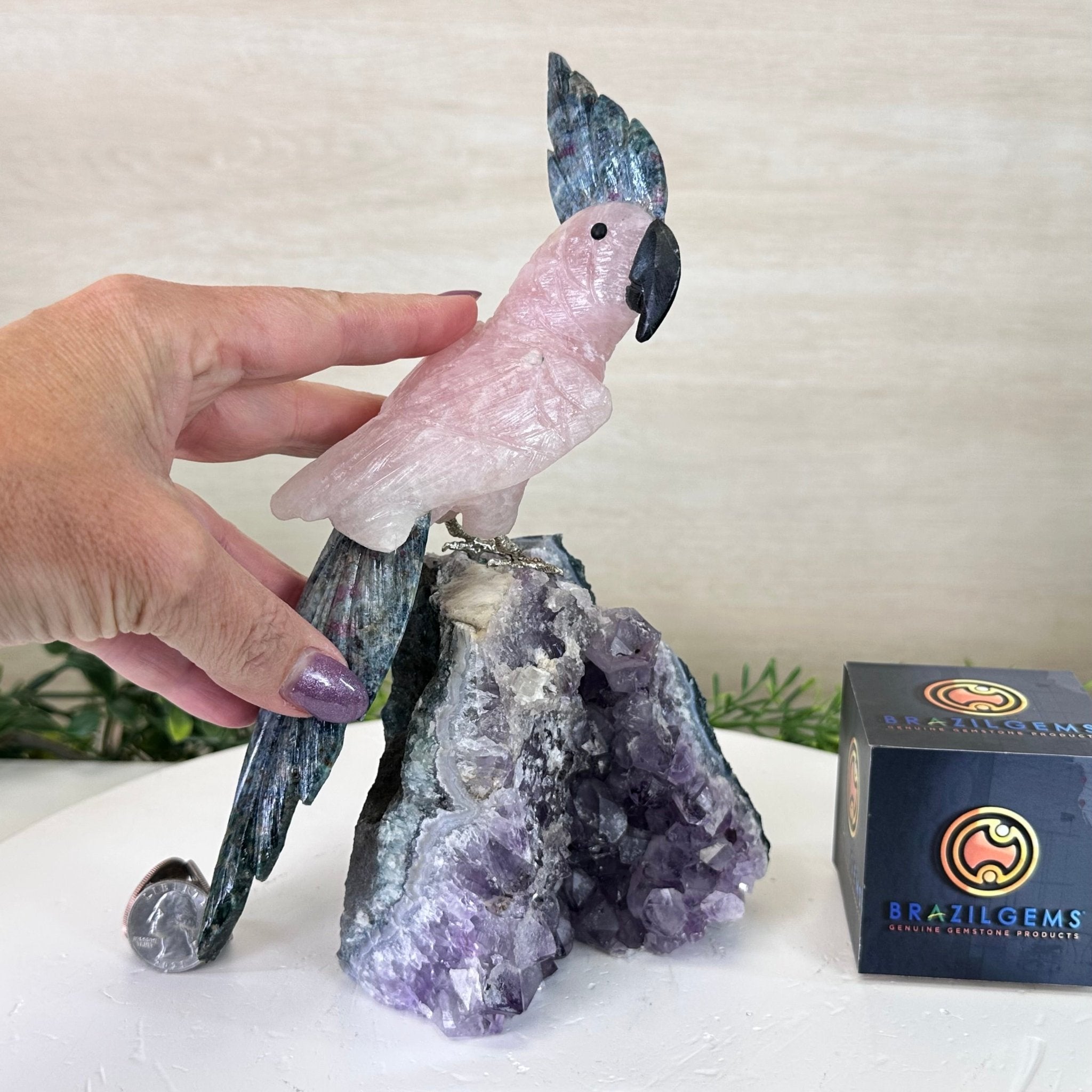 Large Hand - Carved Rose Quartz Cockatoo w/ Amethyst Base, 9.2" Tall #3004 - RQCAM - 041 - Brazil GemsBrazil GemsLarge Hand - Carved Rose Quartz Cockatoo w/ Amethyst Base, 9.2" Tall #3004 - RQCAM - 041Crystal Birds3004 - RQCAM - 041