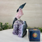 Large Hand - Carved Rose Quartz Cockatoo w/ Amethyst Base, 9.2" Tall #3004 - RQCAM - 041 - Brazil GemsBrazil GemsLarge Hand - Carved Rose Quartz Cockatoo w/ Amethyst Base, 9.2" Tall #3004 - RQCAM - 041Crystal Birds3004 - RQCAM - 041