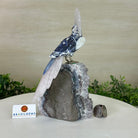 Large Hand - Carved Sodalite Cockatoo 8.3" Long on an Amethyst Base #3004 - SOCAM - 047 - Brazil GemsBrazil GemsLarge Hand - Carved Sodalite Cockatoo 8.3" Long on an Amethyst Base #3004 - SOCAM - 047Crystal Birds3004 - SOCAM - 047