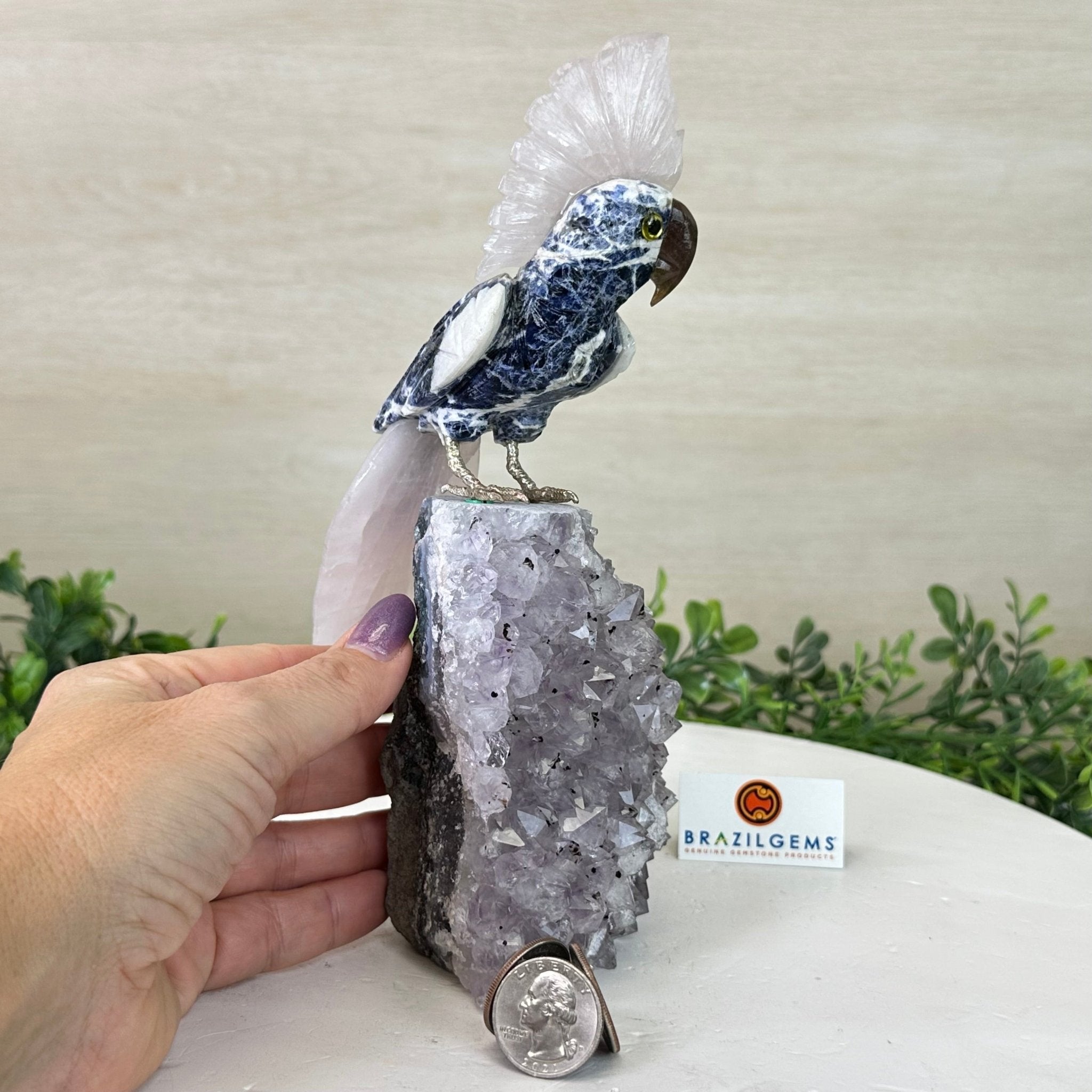 Large Hand - Carved Sodalite Cockatoo 8.3" Long on an Amethyst Base #3004 - SOCAM - 047 - Brazil GemsBrazil GemsLarge Hand - Carved Sodalite Cockatoo 8.3" Long on an Amethyst Base #3004 - SOCAM - 047Crystal Birds3004 - SOCAM - 047