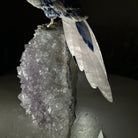 Large Hand - Carved Sodalite Cockatoo 8.3" Long on an Amethyst Base #3004 - SOCAM - 047 - Brazil GemsBrazil GemsLarge Hand - Carved Sodalite Cockatoo 8.3" Long on an Amethyst Base #3004 - SOCAM - 047Crystal Birds3004 - SOCAM - 047