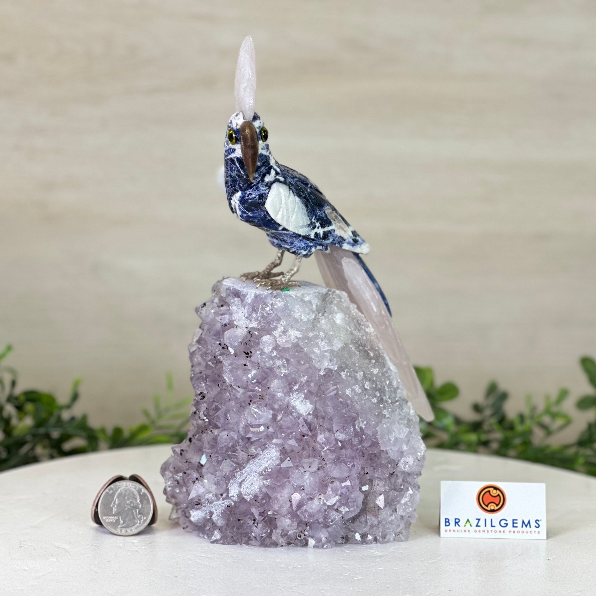 Large Hand - Carved Sodalite Cockatoo 8.3" Long on an Amethyst Base #3004 - SOCAM - 047 - Brazil GemsBrazil GemsLarge Hand - Carved Sodalite Cockatoo 8.3" Long on an Amethyst Base #3004 - SOCAM - 047Crystal Birds3004 - SOCAM - 047