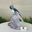 Large Hand - Carved Sodalite Cockatoo 8.3" Long on an Amethyst Base #3004 - SOCAM - 047 - Brazil GemsBrazil GemsLarge Hand - Carved Sodalite Cockatoo 8.3" Long on an Amethyst Base #3004 - SOCAM - 047Crystal Birds3004 - SOCAM - 047