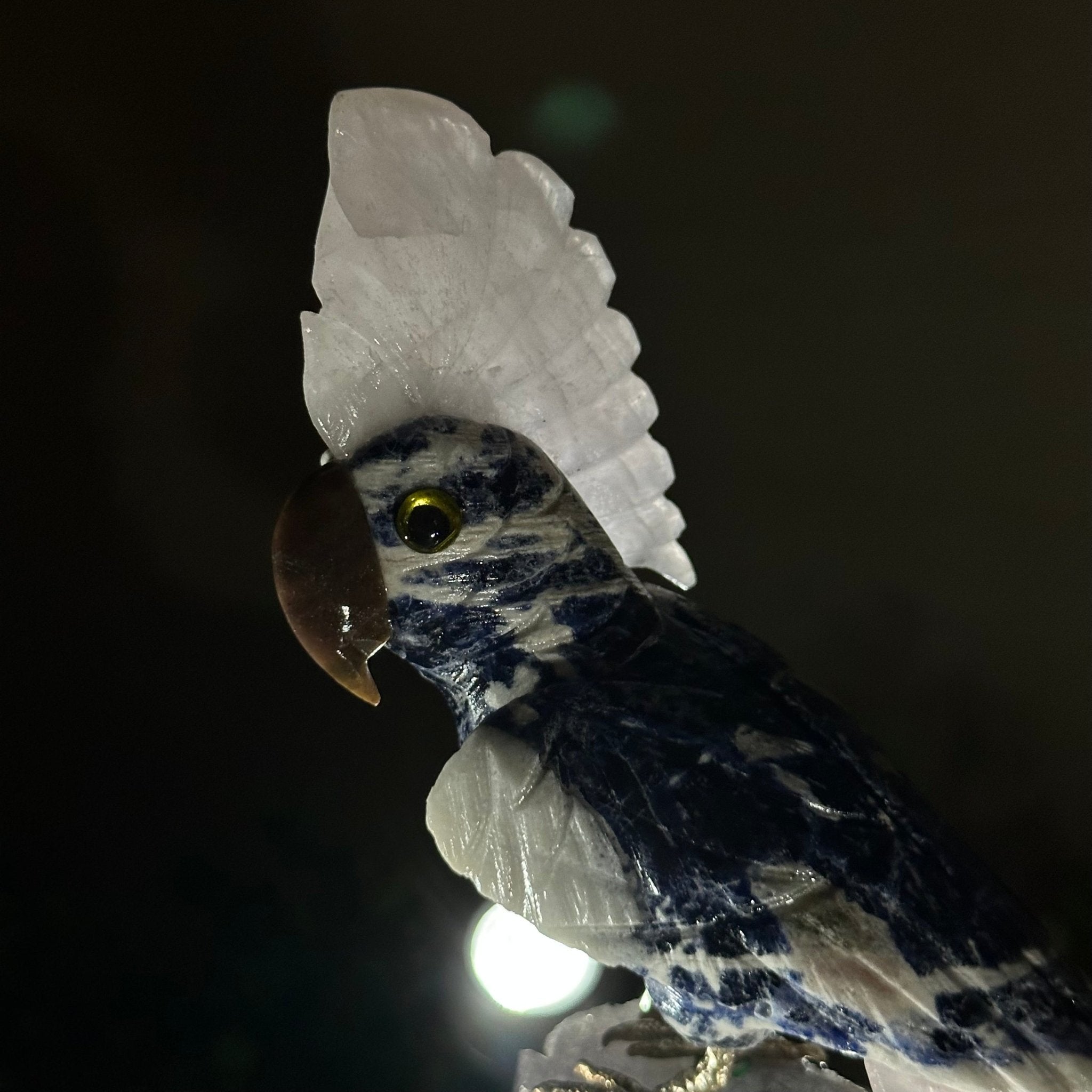 Large Hand - Carved Sodalite Cockatoo 8.3" Long on an Amethyst Base #3004 - SOCAM - 047 - Brazil GemsBrazil GemsLarge Hand - Carved Sodalite Cockatoo 8.3" Long on an Amethyst Base #3004 - SOCAM - 047Crystal Birds3004 - SOCAM - 047