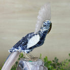 Large Hand - Carved Sodalite Cockatoo 8.3" Long on an Amethyst Base #3004 - SOCAM - 047 - Brazil GemsBrazil GemsLarge Hand - Carved Sodalite Cockatoo 8.3" Long on an Amethyst Base #3004 - SOCAM - 047Crystal Birds3004 - SOCAM - 047