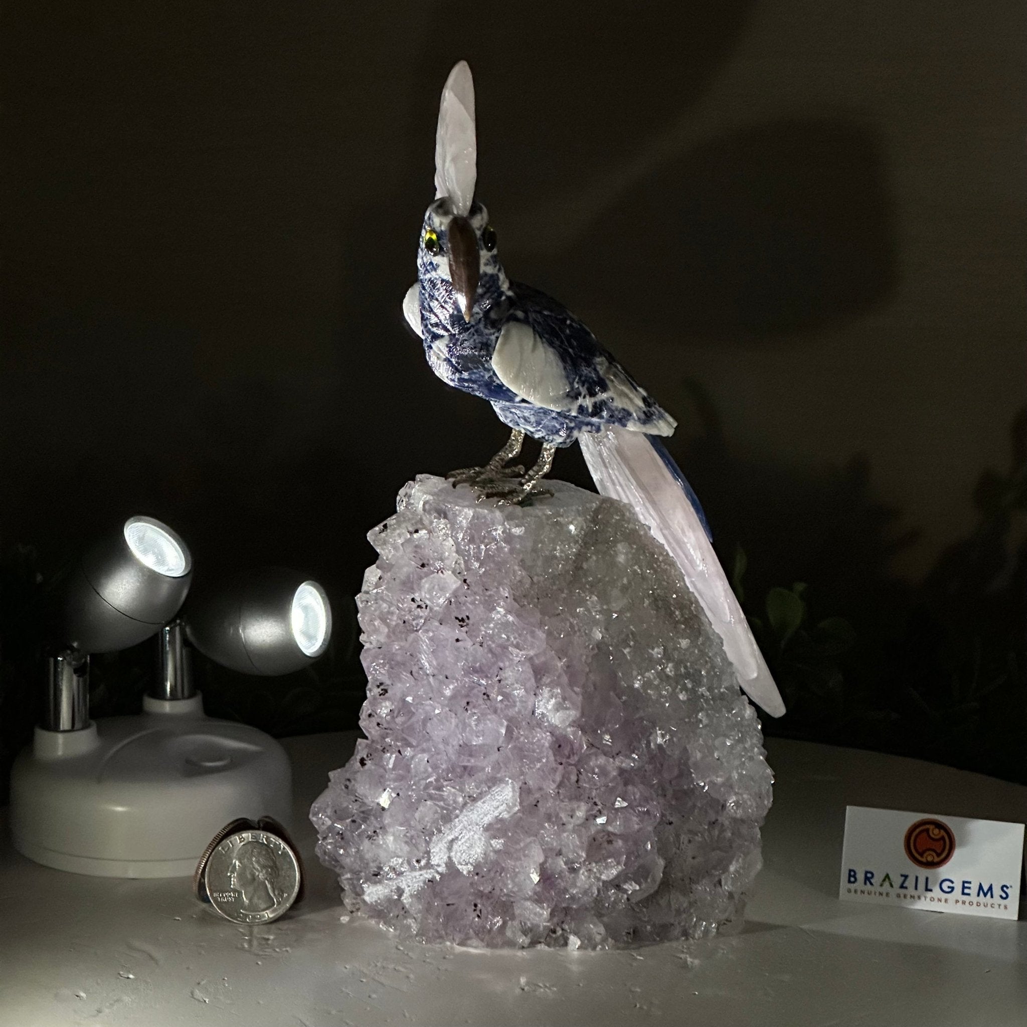 Large Hand - Carved Sodalite Cockatoo 8.3" Long on an Amethyst Base #3004 - SOCAM - 047 - Brazil GemsBrazil GemsLarge Hand - Carved Sodalite Cockatoo 8.3" Long on an Amethyst Base #3004 - SOCAM - 047Crystal Birds3004 - SOCAM - 047