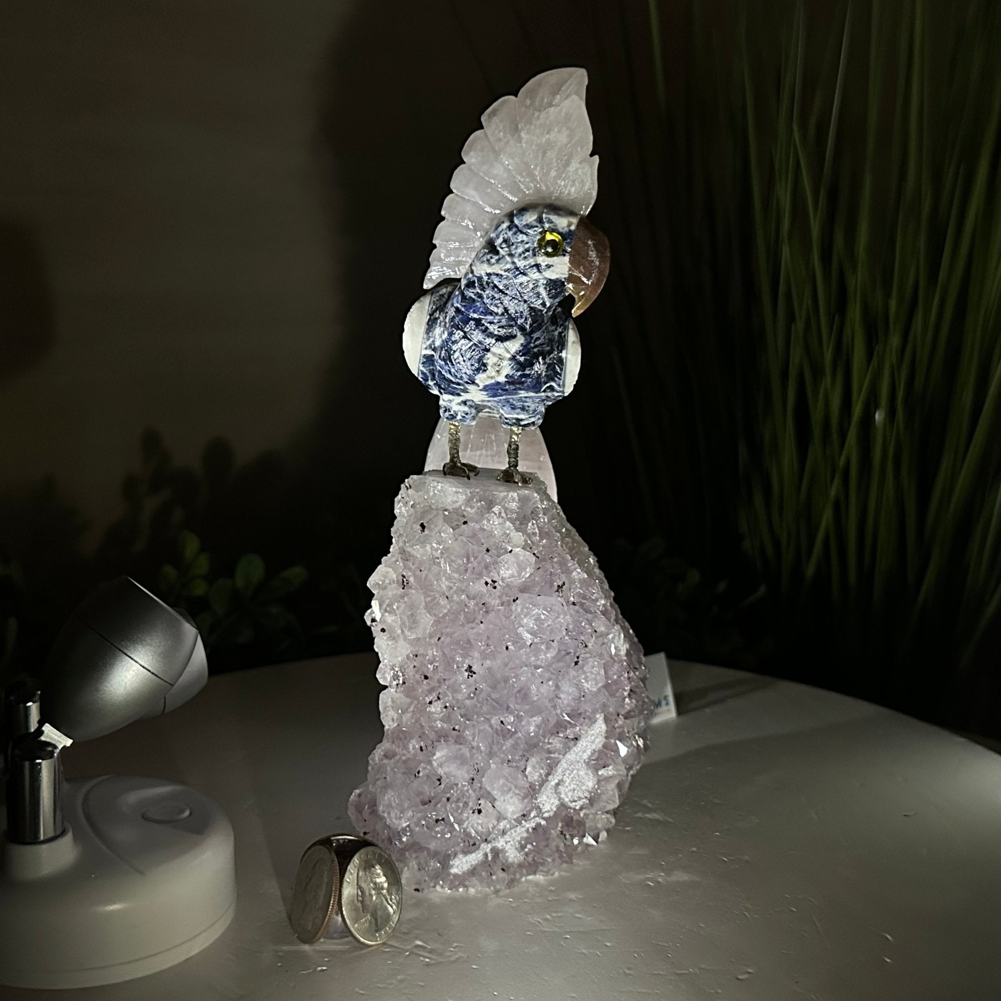 Large Hand - Carved Sodalite Cockatoo 8.3" Long on an Amethyst Base #3004 - SOCAM - 047 - Brazil GemsBrazil GemsLarge Hand - Carved Sodalite Cockatoo 8.3" Long on an Amethyst Base #3004 - SOCAM - 047Crystal Birds3004 - SOCAM - 047