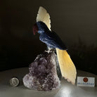 Large Hand - Carved Sodalite Cockatoo 9" Long on an Amethyst Base #3004 - SOCAM - 046 - Brazil GemsBrazil GemsLarge Hand - Carved Sodalite Cockatoo 9" Long on an Amethyst Base #3004 - SOCAM - 046Crystal Birds3004 - SOCAM - 046