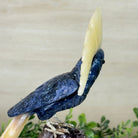 Large Hand - Carved Sodalite Cockatoo 9" Long on an Amethyst Base #3004 - SOCAM - 046 - Brazil GemsBrazil GemsLarge Hand - Carved Sodalite Cockatoo 9" Long on an Amethyst Base #3004 - SOCAM - 046Crystal Birds3004 - SOCAM - 046