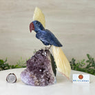 Large Hand - Carved Sodalite Cockatoo 9" Long on an Amethyst Base #3004 - SOCAM - 046 - Brazil GemsBrazil GemsLarge Hand - Carved Sodalite Cockatoo 9" Long on an Amethyst Base #3004 - SOCAM - 046Crystal Birds3004 - SOCAM - 046