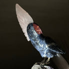 Large Hand - Carved Sodalite Cockatoo w/ Amethyst Base, 9.3" Tall #3004 - SOCAM - 045 - Brazil GemsBrazil GemsLarge Hand - Carved Sodalite Cockatoo w/ Amethyst Base, 9.3" Tall #3004 - SOCAM - 045Crystal Birds3004 - SOCAM - 045