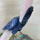 Large Hand - Carved Sodalite Cockatoo w/ Amethyst Base, 9.3" Tall #3004 - SOCAM - 045 - Brazil GemsBrazil GemsLarge Hand - Carved Sodalite Cockatoo w/ Amethyst Base, 9.3" Tall #3004 - SOCAM - 045Crystal Birds3004 - SOCAM - 045