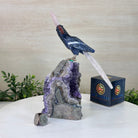 Large Hand - Carved Sodalite Cockatoo w/ Amethyst Base, 9.3" Tall #3004 - SOCAM - 045 - Brazil GemsBrazil GemsLarge Hand - Carved Sodalite Cockatoo w/ Amethyst Base, 9.3" Tall #3004 - SOCAM - 045Crystal Birds3004 - SOCAM - 045