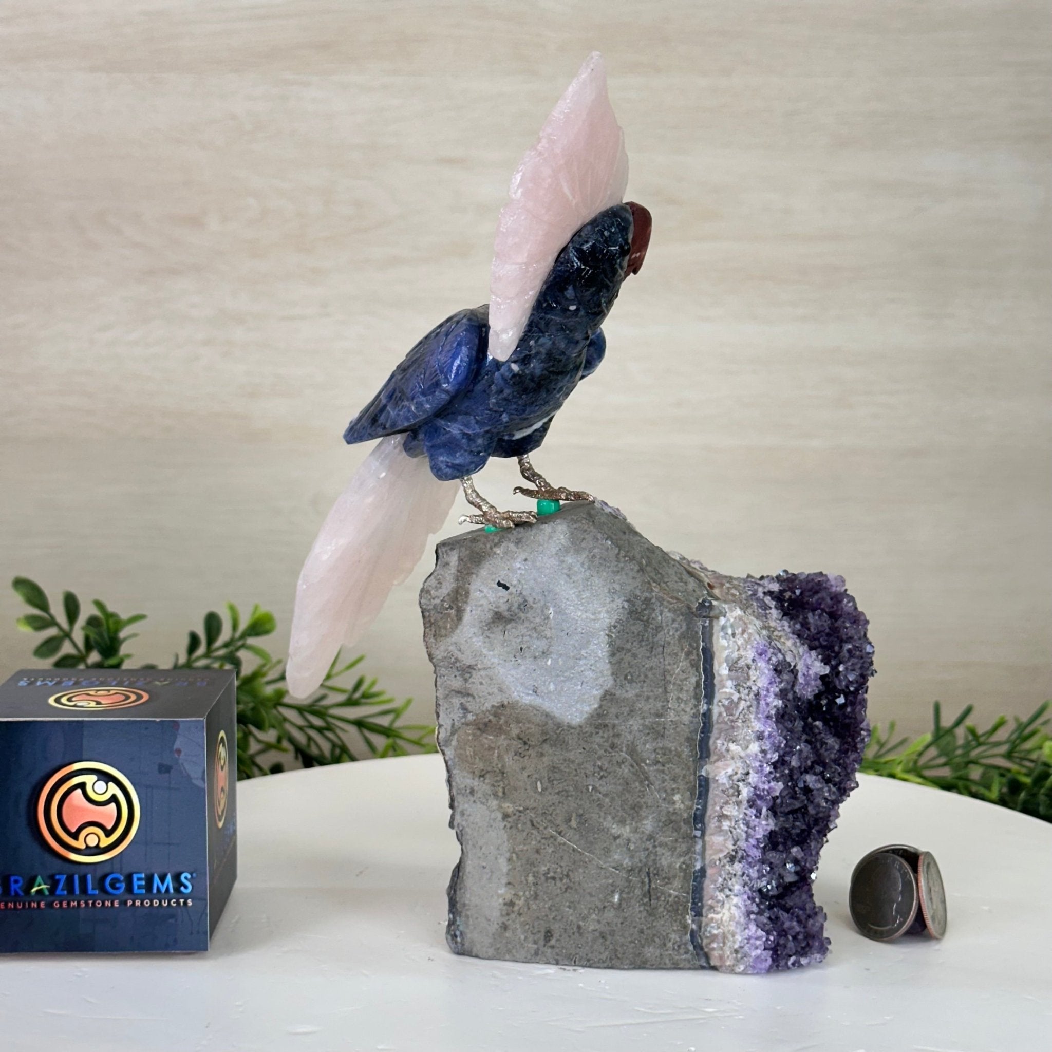 Large Hand - Carved Sodalite Cockatoo w/ Amethyst Base, 9.3" Tall #3004 - SOCAM - 045 - Brazil GemsBrazil GemsLarge Hand - Carved Sodalite Cockatoo w/ Amethyst Base, 9.3" Tall #3004 - SOCAM - 045Crystal Birds3004 - SOCAM - 045