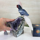 Large Hand - Carved Sodalite Cockatoo w/ Amethyst Base, 9.3" Tall #3004 - SOCAM - 045 - Brazil GemsBrazil GemsLarge Hand - Carved Sodalite Cockatoo w/ Amethyst Base, 9.3" Tall #3004 - SOCAM - 045Crystal Birds3004 - SOCAM - 045