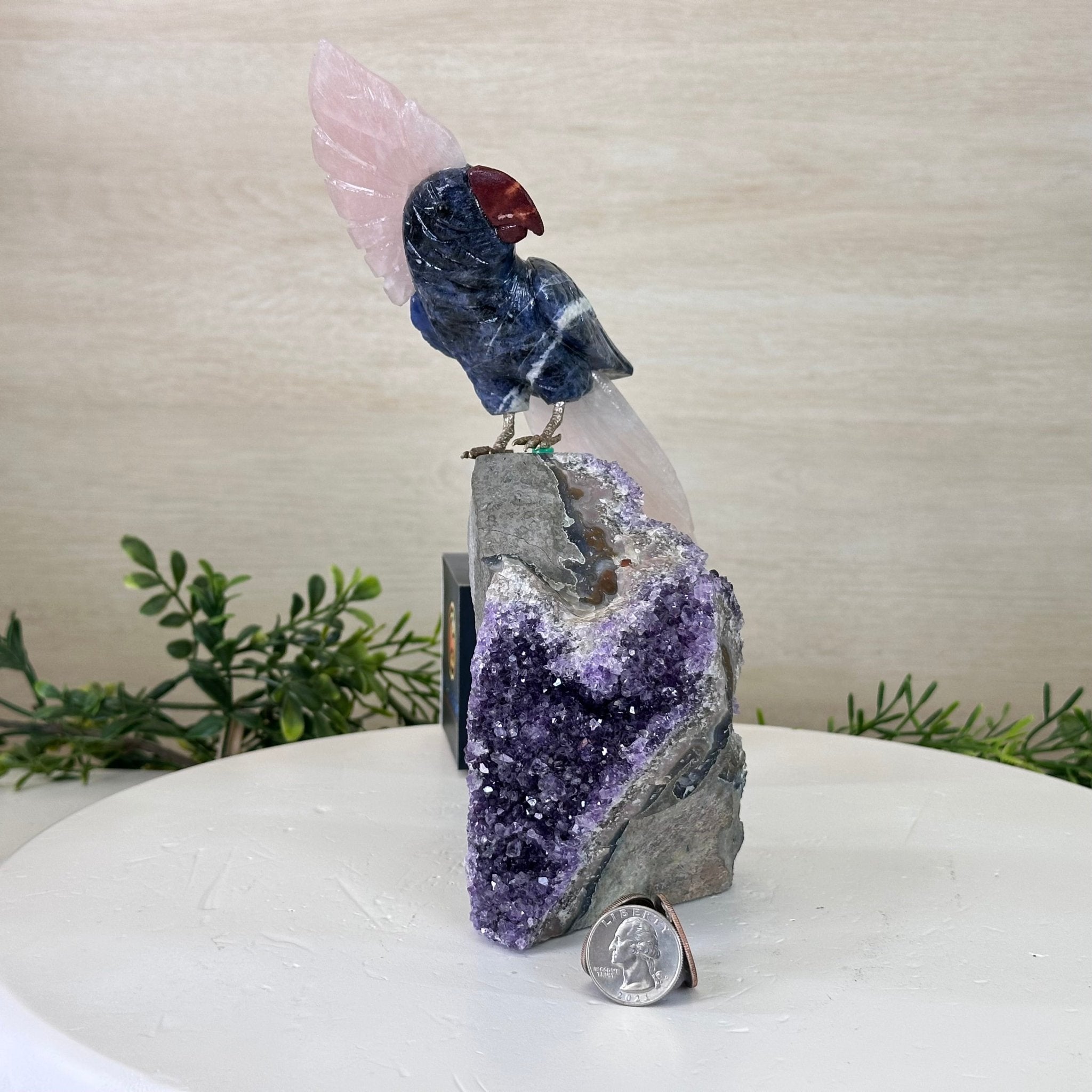 Large Hand - Carved Sodalite Cockatoo w/ Amethyst Base, 9.3" Tall #3004 - SOCAM - 045 - Brazil GemsBrazil GemsLarge Hand - Carved Sodalite Cockatoo w/ Amethyst Base, 9.3" Tall #3004 - SOCAM - 045Crystal Birds3004 - SOCAM - 045