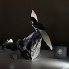 Large Hand - Carved Sodalite Cockatoo w/ Amethyst Base, 9.3" Tall #3004 - SOCAM - 045 - Brazil GemsBrazil GemsLarge Hand - Carved Sodalite Cockatoo w/ Amethyst Base, 9.3" Tall #3004 - SOCAM - 045Crystal Birds3004 - SOCAM - 045