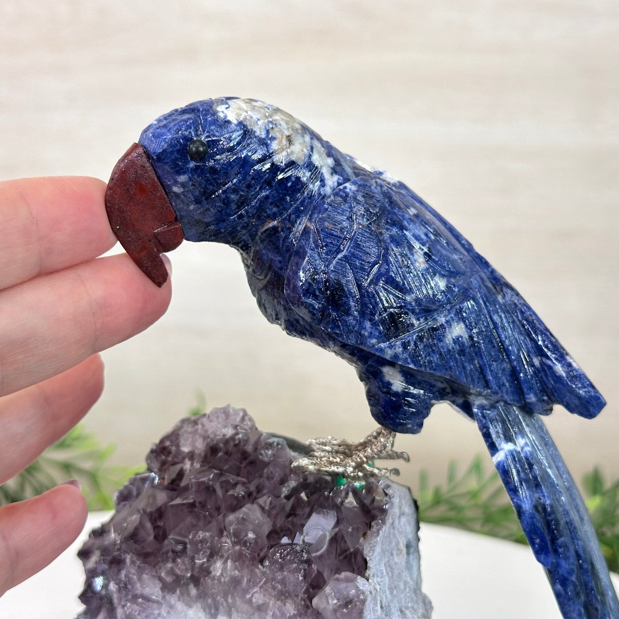 Large Hand - Carved Sodalite Parrot on an Amethyst Base, 6.5" Tall #3004 - SOPAM - 023 - Brazil GemsBrazil GemsLarge Hand - Carved Sodalite Parrot on an Amethyst Base, 6.5" Tall #3004 - SOPAM - 023Crystal Birds3004 - SOPAM - 023