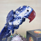 Large Hand - Carved Sodalite Parrot on an Amethyst Base, 6.5" Tall #3004 - SOPAM - 023 - Brazil GemsBrazil GemsLarge Hand - Carved Sodalite Parrot on an Amethyst Base, 6.5" Tall #3004 - SOPAM - 023Crystal Birds3004 - SOPAM - 023