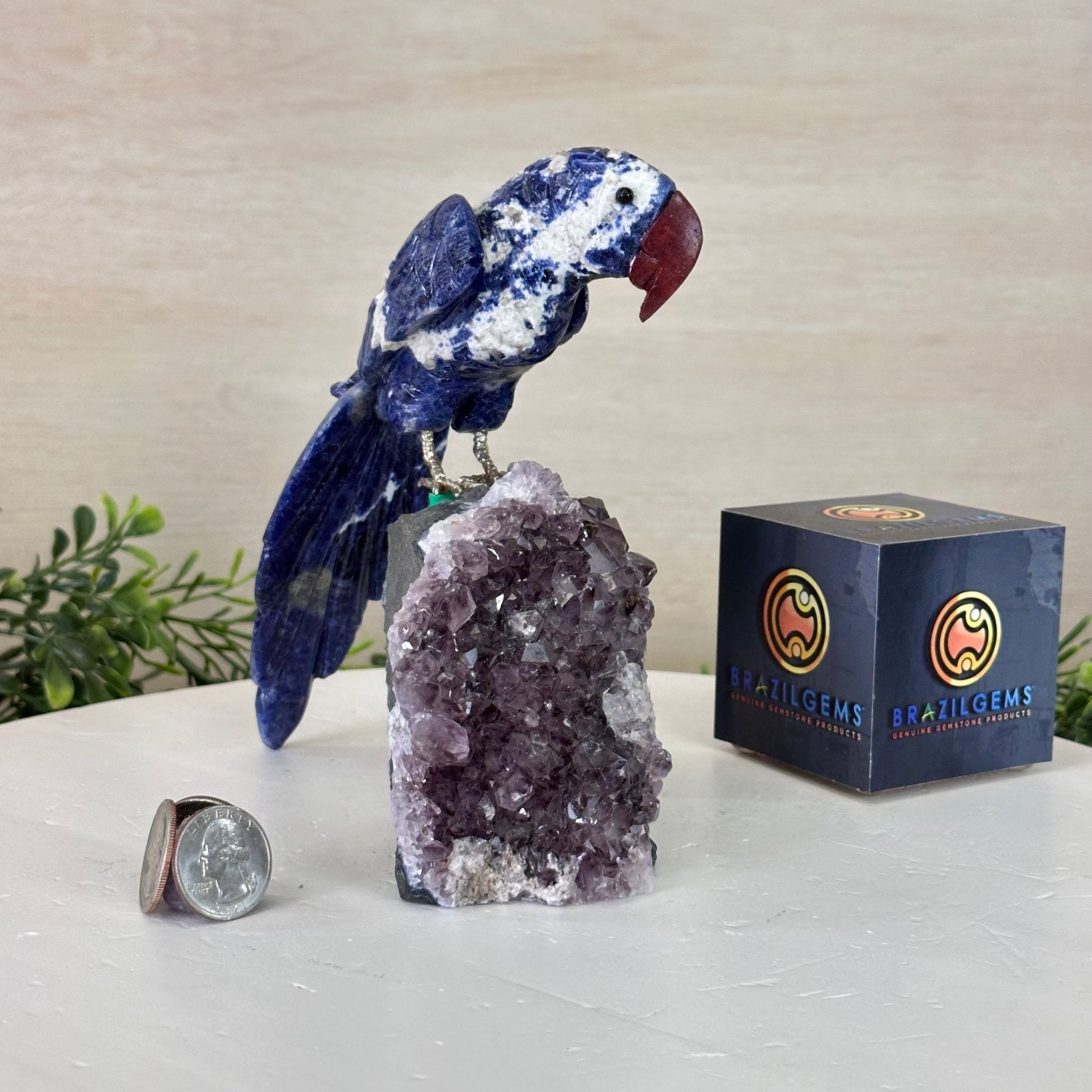 Large Hand - Carved Sodalite Parrot on an Amethyst Base, 6.5" Tall #3004 - SOPAM - 023 - Brazil GemsBrazil GemsLarge Hand - Carved Sodalite Parrot on an Amethyst Base, 6.5" Tall #3004 - SOPAM - 023Crystal Birds3004 - SOPAM - 023