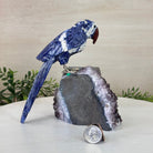 Large Hand - Carved Sodalite Parrot on an Amethyst Base, 6.5" Tall #3004 - SOPAM - 023 - Brazil GemsBrazil GemsLarge Hand - Carved Sodalite Parrot on an Amethyst Base, 6.5" Tall #3004 - SOPAM - 023Crystal Birds3004 - SOPAM - 023