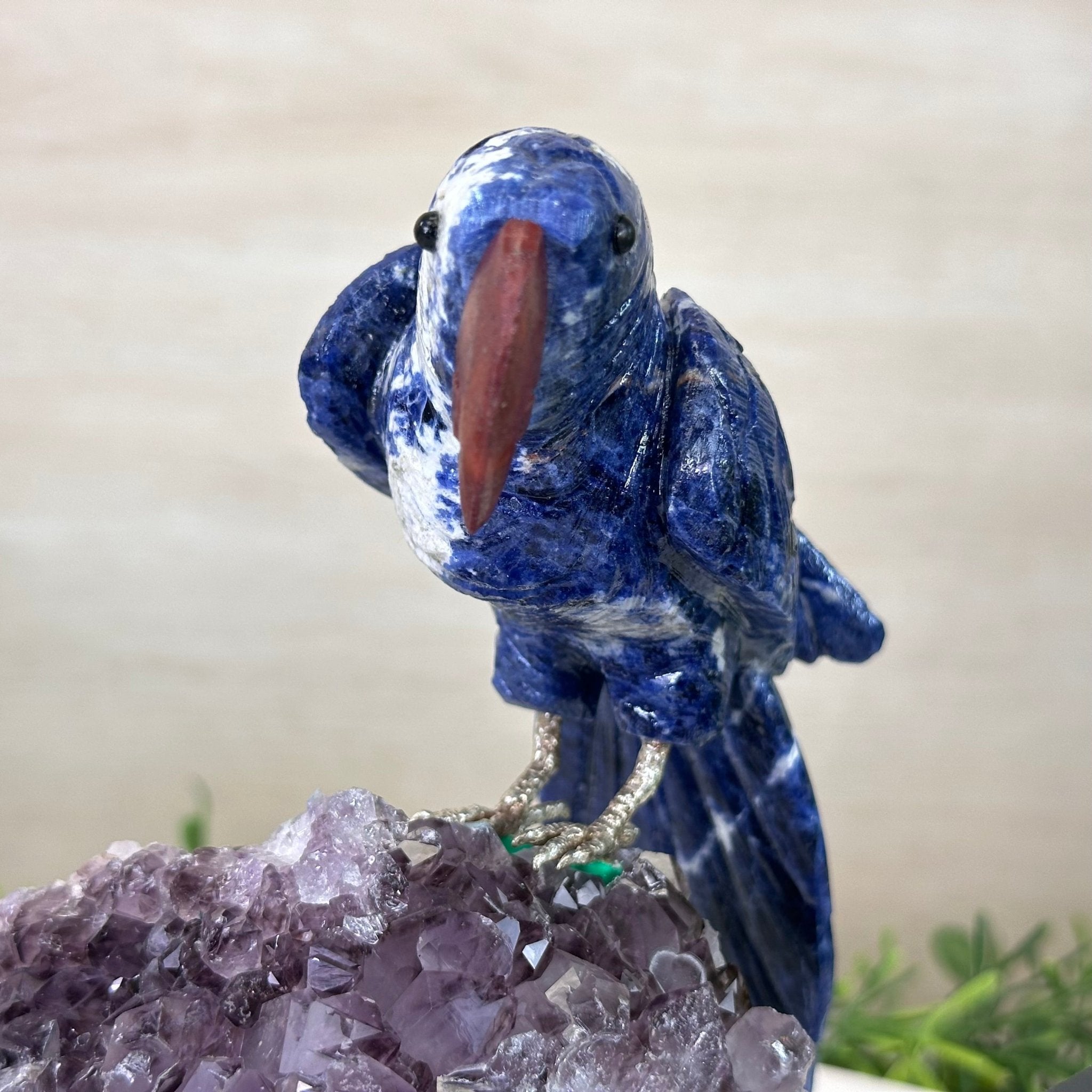 Large Hand - Carved Sodalite Parrot on an Amethyst Base, 6.5" Tall #3004 - SOPAM - 023 - Brazil GemsBrazil GemsLarge Hand - Carved Sodalite Parrot on an Amethyst Base, 6.5" Tall #3004 - SOPAM - 023Crystal Birds3004 - SOPAM - 023