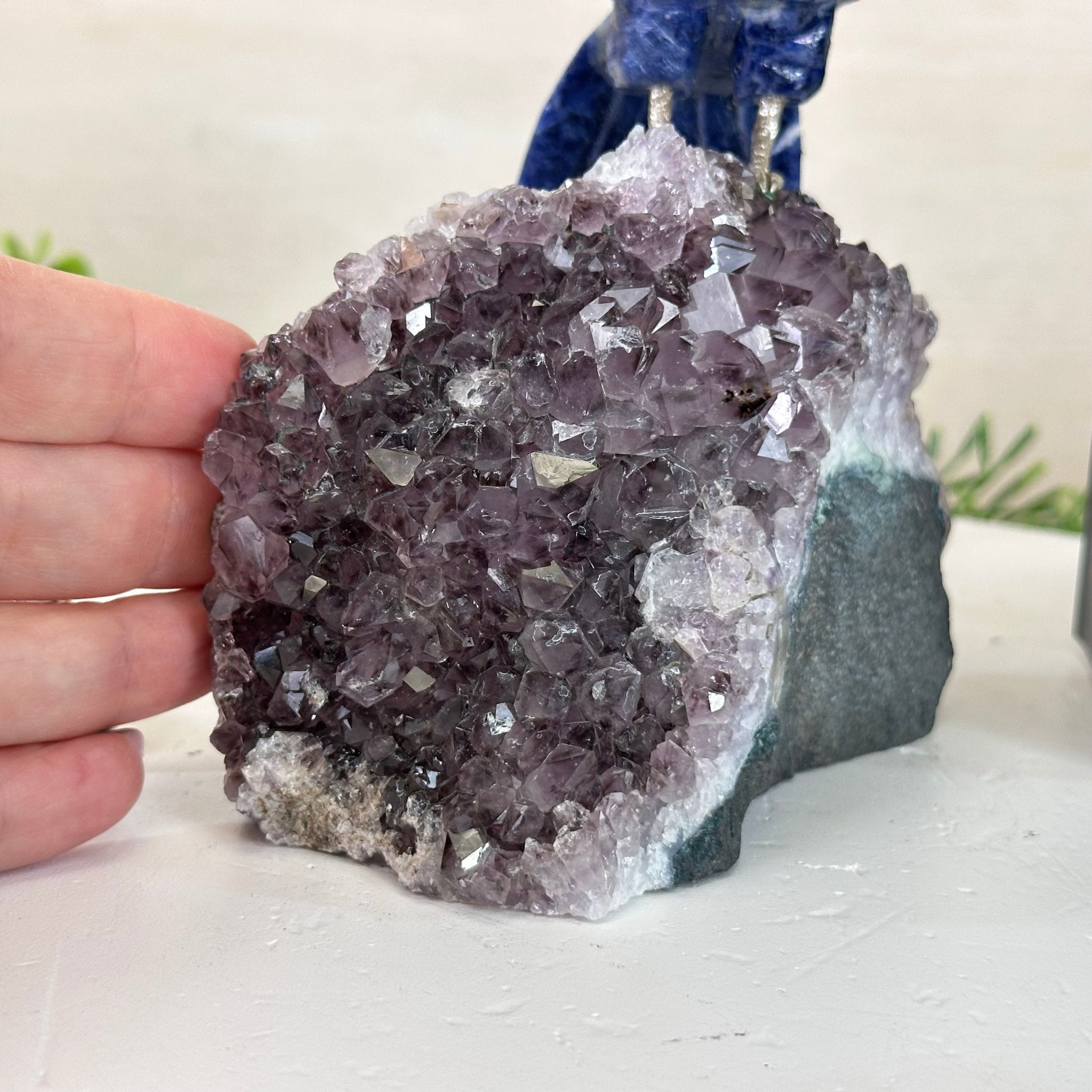 Large Hand - Carved Sodalite Parrot on an Amethyst Base, 6.5" Tall #3004 - SOPAM - 023 - Brazil GemsBrazil GemsLarge Hand - Carved Sodalite Parrot on an Amethyst Base, 6.5" Tall #3004 - SOPAM - 023Crystal Birds3004 - SOPAM - 023