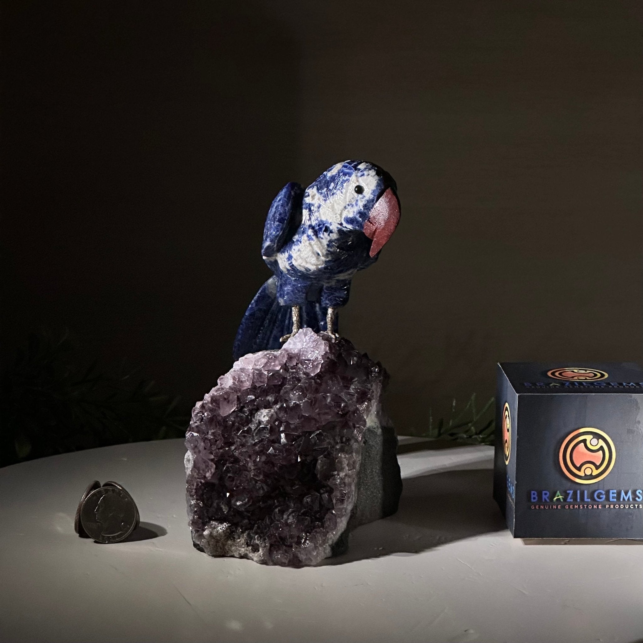 Large Hand - Carved Sodalite Parrot on an Amethyst Base, 6.5" Tall #3004 - SOPAM - 023 - Brazil GemsBrazil GemsLarge Hand - Carved Sodalite Parrot on an Amethyst Base, 6.5" Tall #3004 - SOPAM - 023Crystal Birds3004 - SOPAM - 023