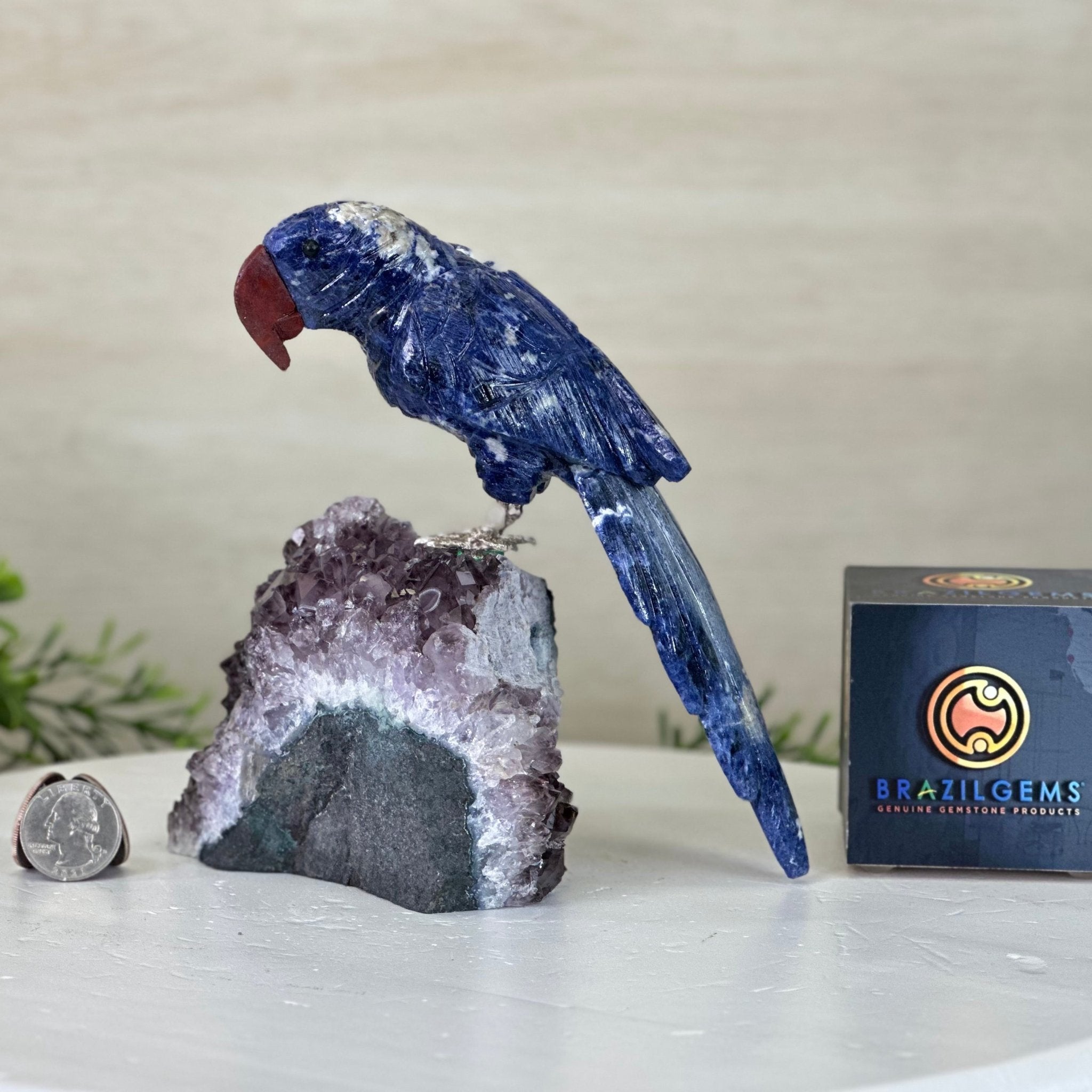 Large Hand - Carved Sodalite Parrot on an Amethyst Base, 6.5" Tall #3004 - SOPAM - 023 - Brazil GemsBrazil GemsLarge Hand - Carved Sodalite Parrot on an Amethyst Base, 6.5" Tall #3004 - SOPAM - 023Crystal Birds3004 - SOPAM - 023