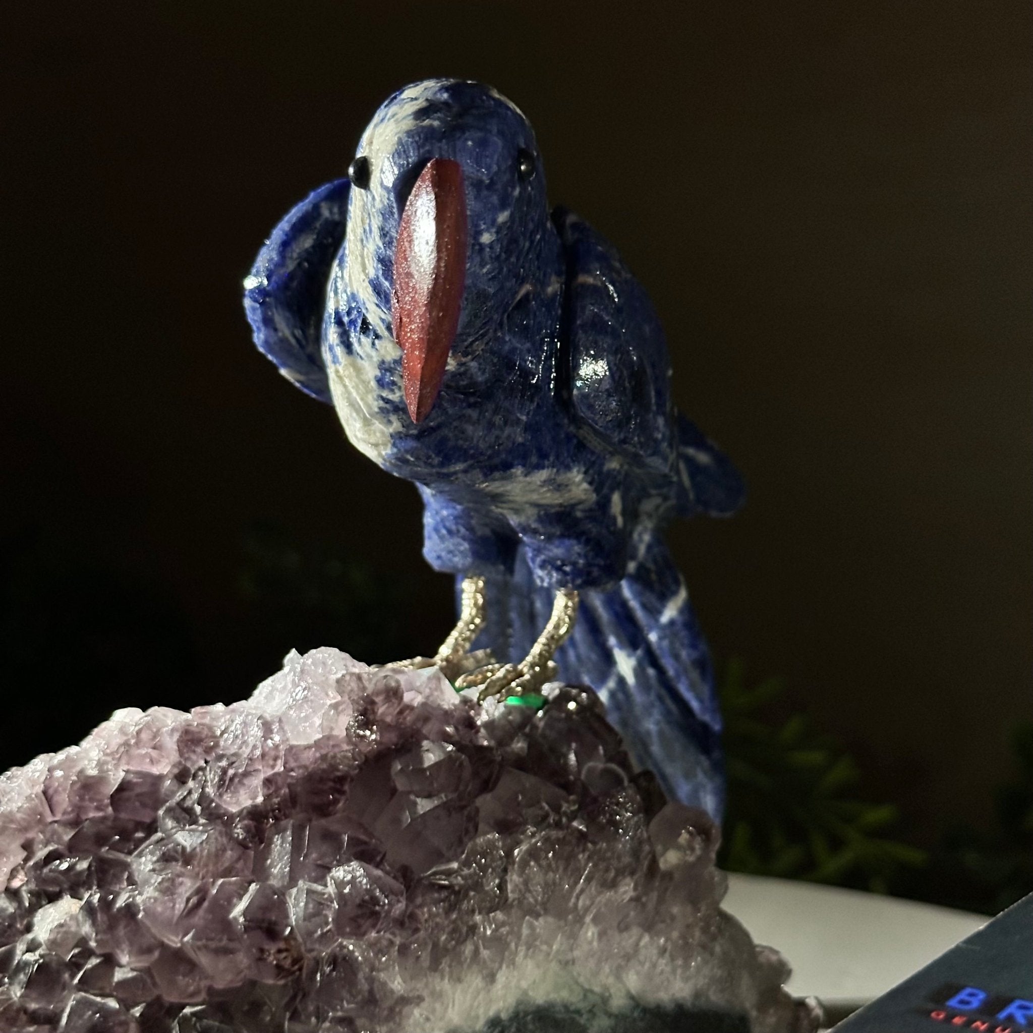 Large Hand - Carved Sodalite Parrot on an Amethyst Base, 6.5" Tall #3004 - SOPAM - 023 - Brazil GemsBrazil GemsLarge Hand - Carved Sodalite Parrot on an Amethyst Base, 6.5" Tall #3004 - SOPAM - 023Crystal Birds3004 - SOPAM - 023