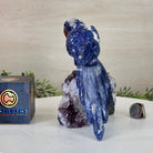 Large Hand - Carved Sodalite Parrot on an Amethyst Base, 6.5" Tall #3004 - SOPAM - 023 - Brazil GemsBrazil GemsLarge Hand - Carved Sodalite Parrot on an Amethyst Base, 6.5" Tall #3004 - SOPAM - 023Crystal Birds3004 - SOPAM - 023