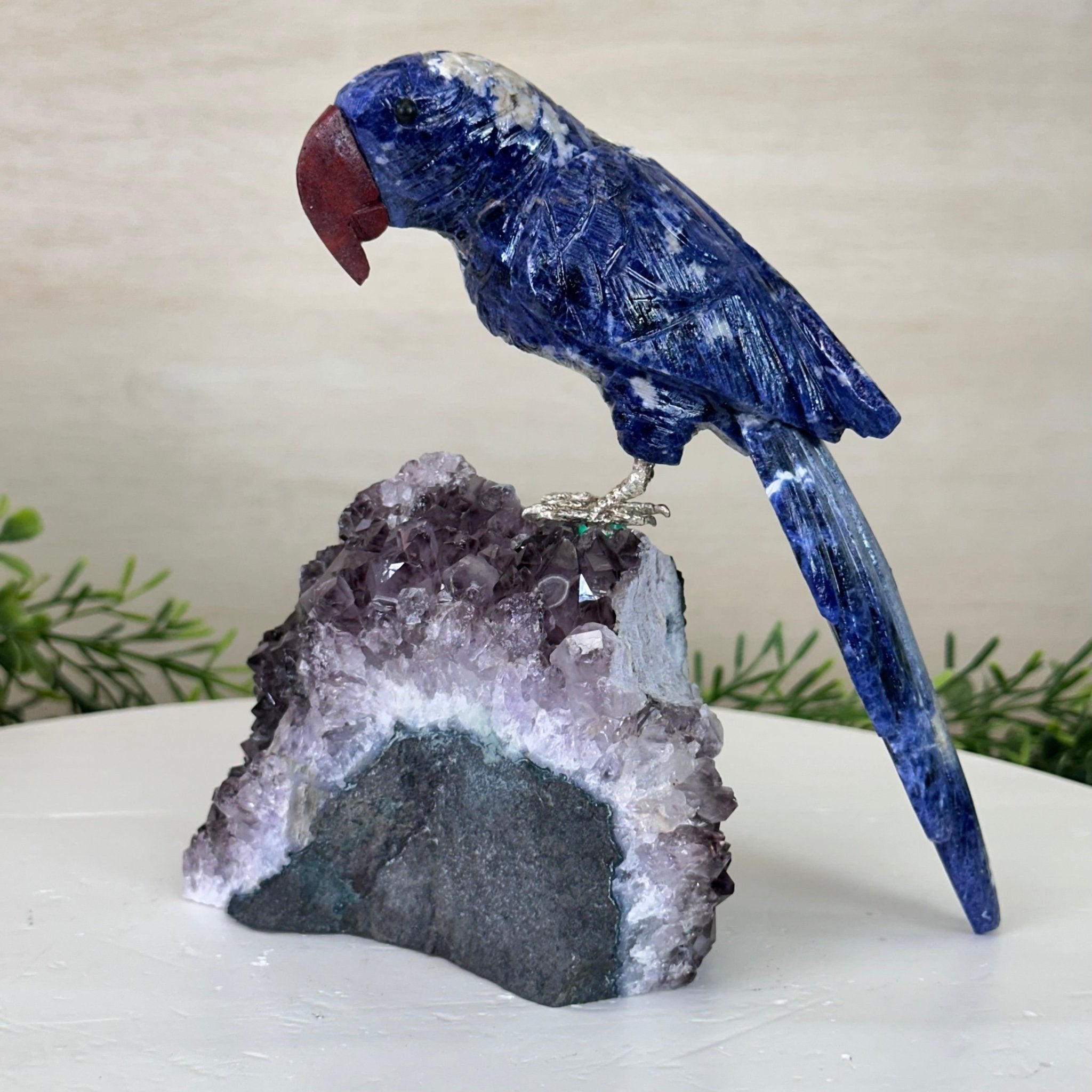 Large Hand - Carved Sodalite Parrot on an Amethyst Base, 6.5" Tall #3004 - SOPAM - 023 - Brazil GemsBrazil GemsLarge Hand - Carved Sodalite Parrot on an Amethyst Base, 6.5" Tall #3004 - SOPAM - 023Crystal Birds3004 - SOPAM - 023