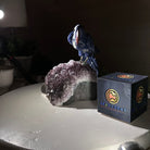 Large Hand - Carved Sodalite Parrot on an Amethyst Base, 6.5" Tall #3004 - SOPAM - 023 - Brazil GemsBrazil GemsLarge Hand - Carved Sodalite Parrot on an Amethyst Base, 6.5" Tall #3004 - SOPAM - 023Crystal Birds3004 - SOPAM - 023