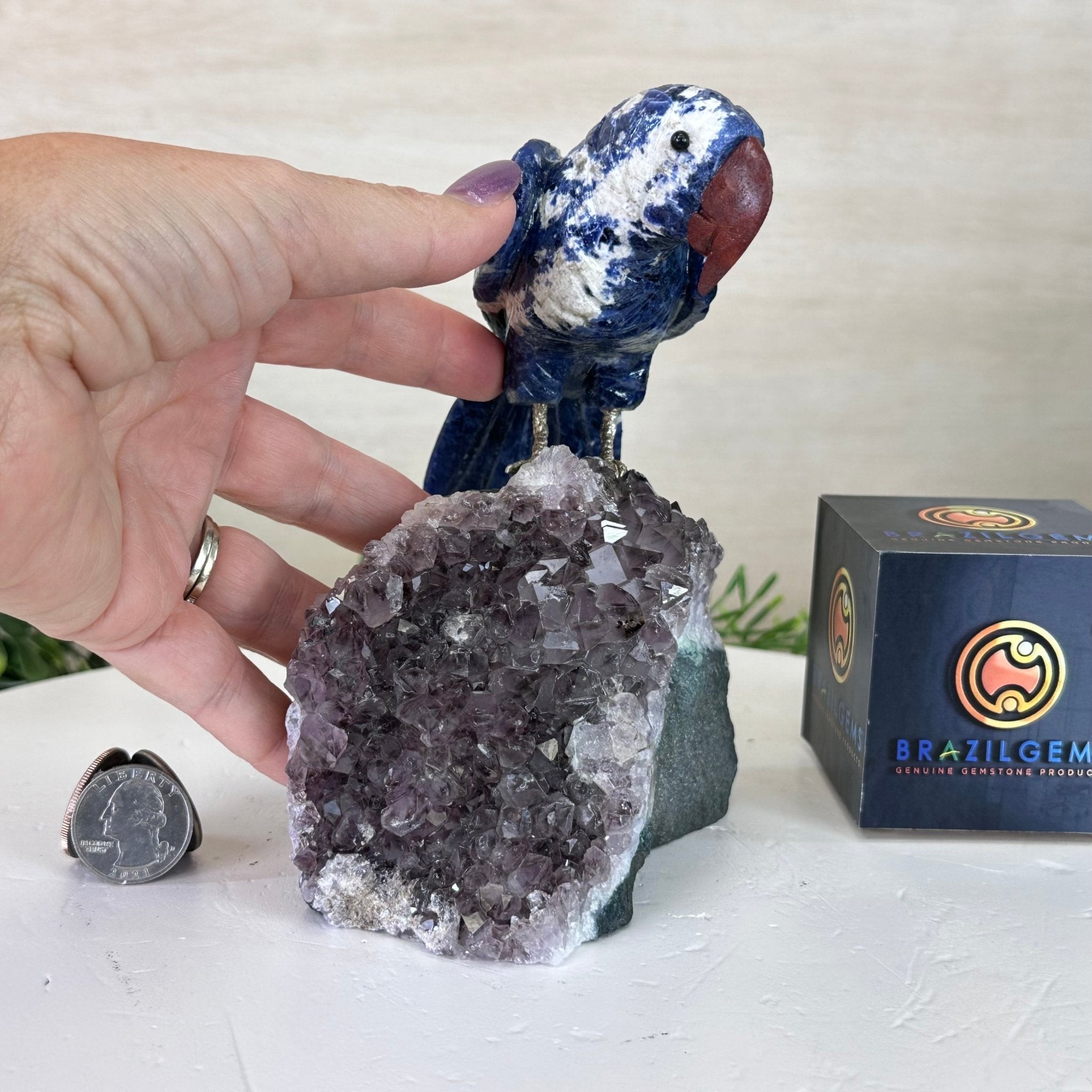 Large Hand - Carved Sodalite Parrot on an Amethyst Base, 6.5" Tall #3004 - SOPAM - 023 - Brazil GemsBrazil GemsLarge Hand - Carved Sodalite Parrot on an Amethyst Base, 6.5" Tall #3004 - SOPAM - 023Crystal Birds3004 - SOPAM - 023