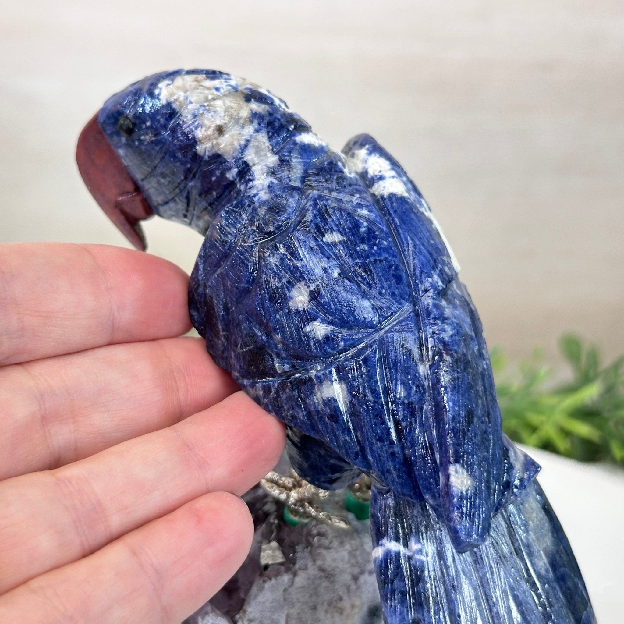 Large Hand - Carved Sodalite Parrot on an Amethyst Base, 6.5" Tall #3004 - SOPAM - 023 - Brazil GemsBrazil GemsLarge Hand - Carved Sodalite Parrot on an Amethyst Base, 6.5" Tall #3004 - SOPAM - 023Crystal Birds3004 - SOPAM - 023