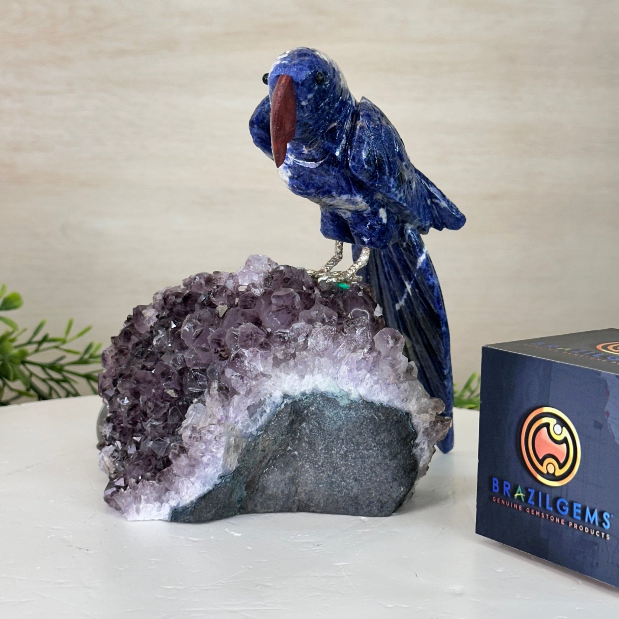 Large Hand - Carved Sodalite Parrot on an Amethyst Base, 6.5" Tall #3004 - SOPAM - 023 - Brazil GemsBrazil GemsLarge Hand - Carved Sodalite Parrot on an Amethyst Base, 6.5" Tall #3004 - SOPAM - 023Crystal Birds3004 - SOPAM - 023