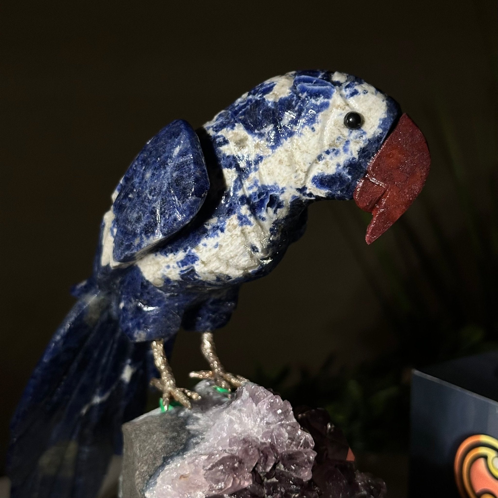 Large Hand - Carved Sodalite Parrot on an Amethyst Base, 6.5" Tall #3004 - SOPAM - 023 - Brazil GemsBrazil GemsLarge Hand - Carved Sodalite Parrot on an Amethyst Base, 6.5" Tall #3004 - SOPAM - 023Crystal Birds3004 - SOPAM - 023