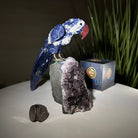 Large Hand - Carved Sodalite Parrot on an Amethyst Base, 6.5" Tall #3004 - SOPAM - 023 - Brazil GemsBrazil GemsLarge Hand - Carved Sodalite Parrot on an Amethyst Base, 6.5" Tall #3004 - SOPAM - 023Crystal Birds3004 - SOPAM - 023