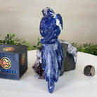 Large Hand - Carved Sodalite Parrot on an Amethyst Base, 6.5" Tall #3004 - SOPAM - 023 - Brazil GemsBrazil GemsLarge Hand - Carved Sodalite Parrot on an Amethyst Base, 6.5" Tall #3004 - SOPAM - 023Crystal Birds3004 - SOPAM - 023