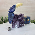 Large Hand - Carved Sodalite Toucan Bird w/ Amethyst Base, 7.8" Tall #3004 - SOTAM - 054 - Brazil GemsBrazil GemsLarge Hand - Carved Sodalite Toucan Bird w/ Amethyst Base, 7.8" Tall #3004 - SOTAM - 054Crystal Birds3004 - SOTAM - 054