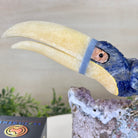 Large Hand - Carved Sodalite Toucan Bird w/ Amethyst Base, 7.8" Tall #3004 - SOTAM - 054 - Brazil GemsBrazil GemsLarge Hand - Carved Sodalite Toucan Bird w/ Amethyst Base, 7.8" Tall #3004 - SOTAM - 054Crystal Birds3004 - SOTAM - 054