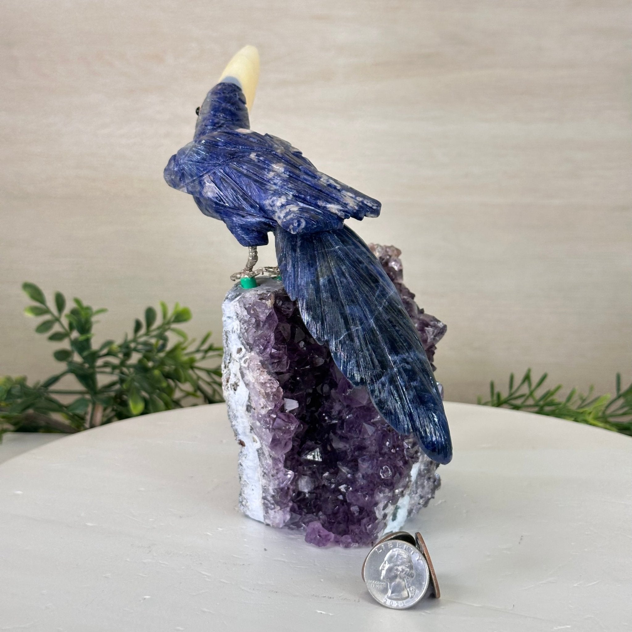 Large Hand - Carved Sodalite Toucan Bird w/ Amethyst Base, 7.8" Tall #3004 - SOTAM - 054 - Brazil GemsBrazil GemsLarge Hand - Carved Sodalite Toucan Bird w/ Amethyst Base, 7.8" Tall #3004 - SOTAM - 054Crystal Birds3004 - SOTAM - 054