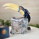 Large Hand - Carved Sodalite Toucan Bird w/ Amethyst Base, 7.8" Tall #3004 - SOTAM - 054 - Brazil GemsBrazil GemsLarge Hand - Carved Sodalite Toucan Bird w/ Amethyst Base, 7.8" Tall #3004 - SOTAM - 054Crystal Birds3004 - SOTAM - 054