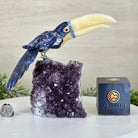 Large Hand - Carved Sodalite Toucan Bird w/ Amethyst Base, 7.8" Tall #3004 - SOTAM - 054 - Brazil GemsBrazil GemsLarge Hand - Carved Sodalite Toucan Bird w/ Amethyst Base, 7.8" Tall #3004 - SOTAM - 054Crystal Birds3004 - SOTAM - 054